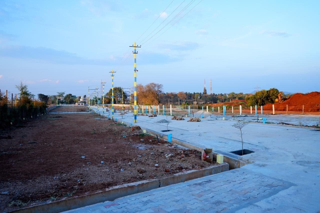 Site view